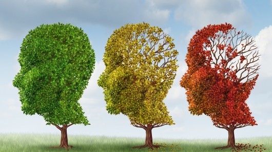 Larger alzheimers dementia cure yale amyloid treatment 9