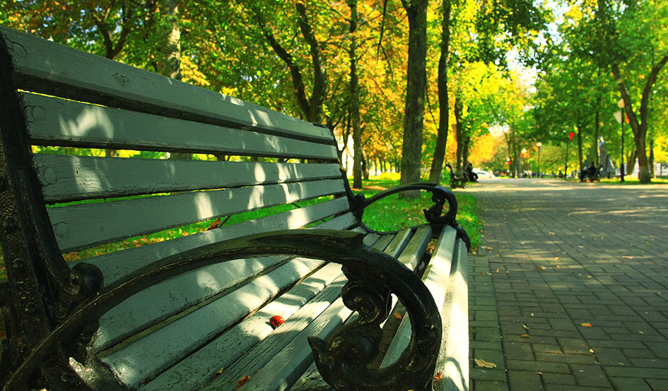 Caminar por el parque mejora tu salud mental