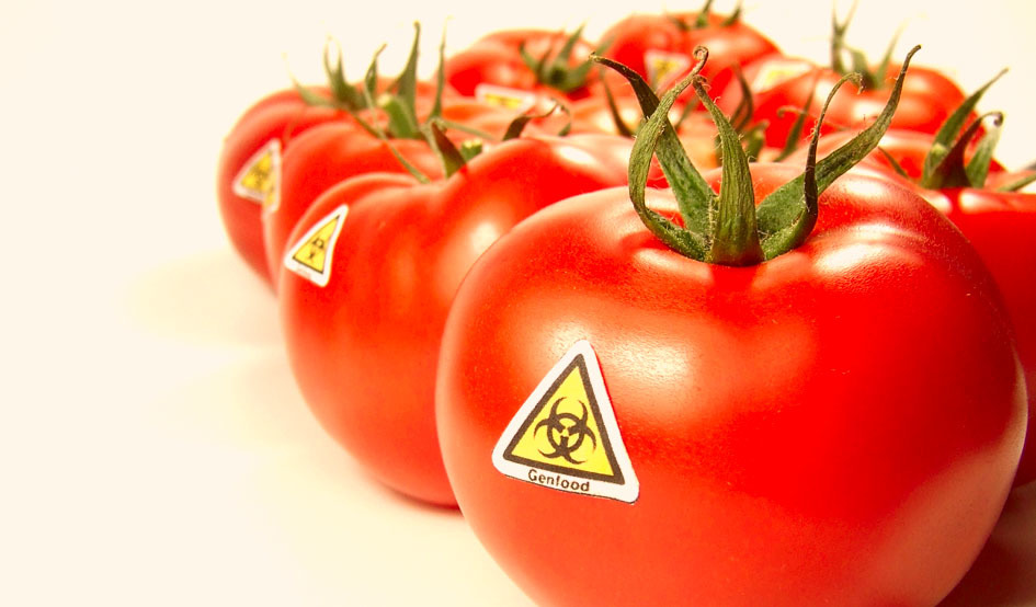 Larger tomates