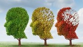 Mini alzheimers dementia cure yale amyloid treatment 9