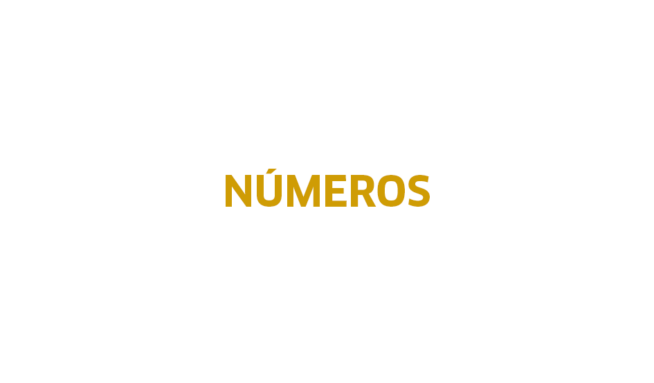 Larger numeros2