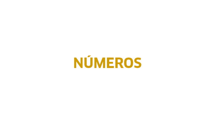 Large numeros2