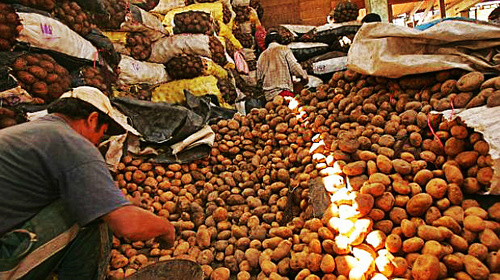 Medium_papaperuanas1